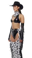 Saddle Up Cowgirl Costume Set - Image 1