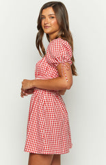 I'M Yours Red Gingham Mini Dress