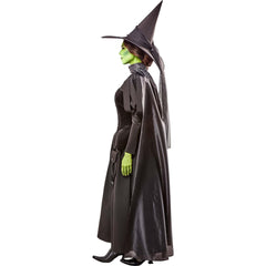 Women's The Wizard of Oz Wicked Witch Costume - Deluxe