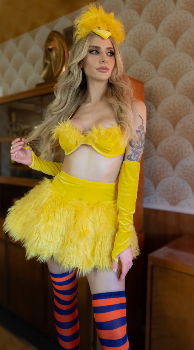 Big And Fluffy Yellow Bird Costume - Image 3