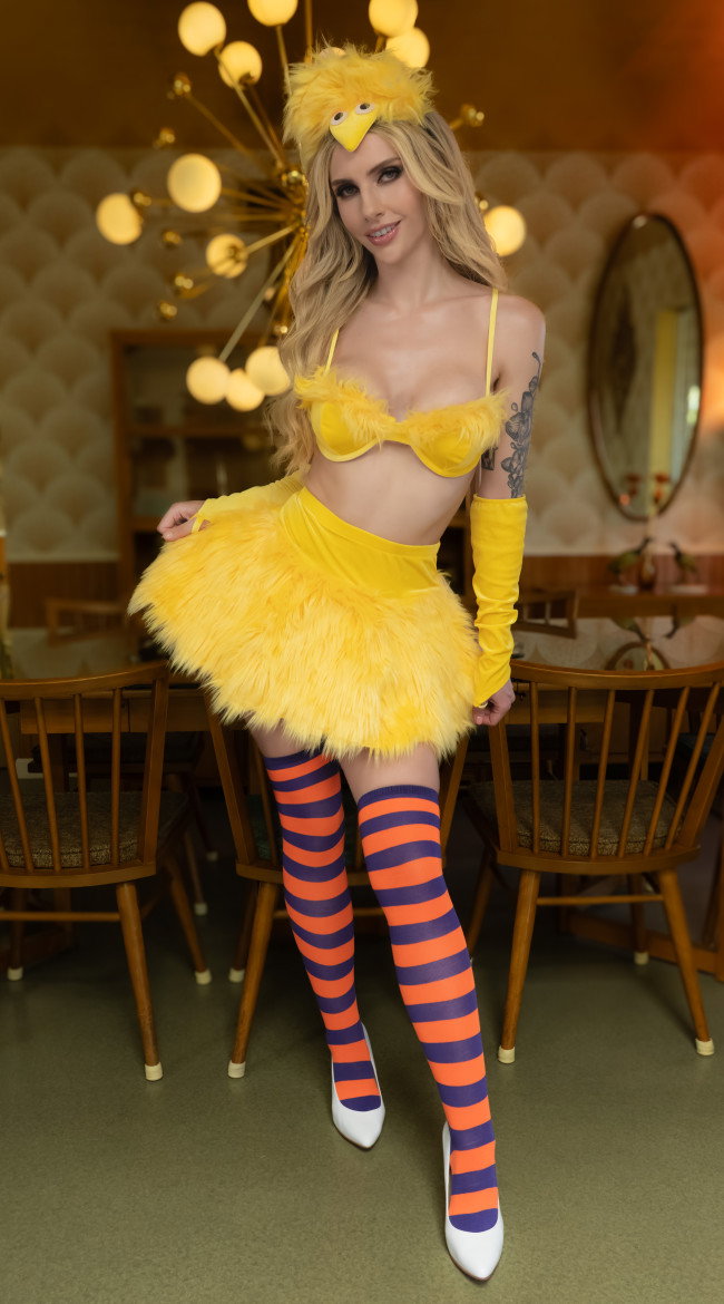 Big And Fluffy Yellow Bird Costume - Image 1