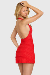 Lace Mini Dress In Cherry