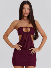 Verity Mini Dress Wine