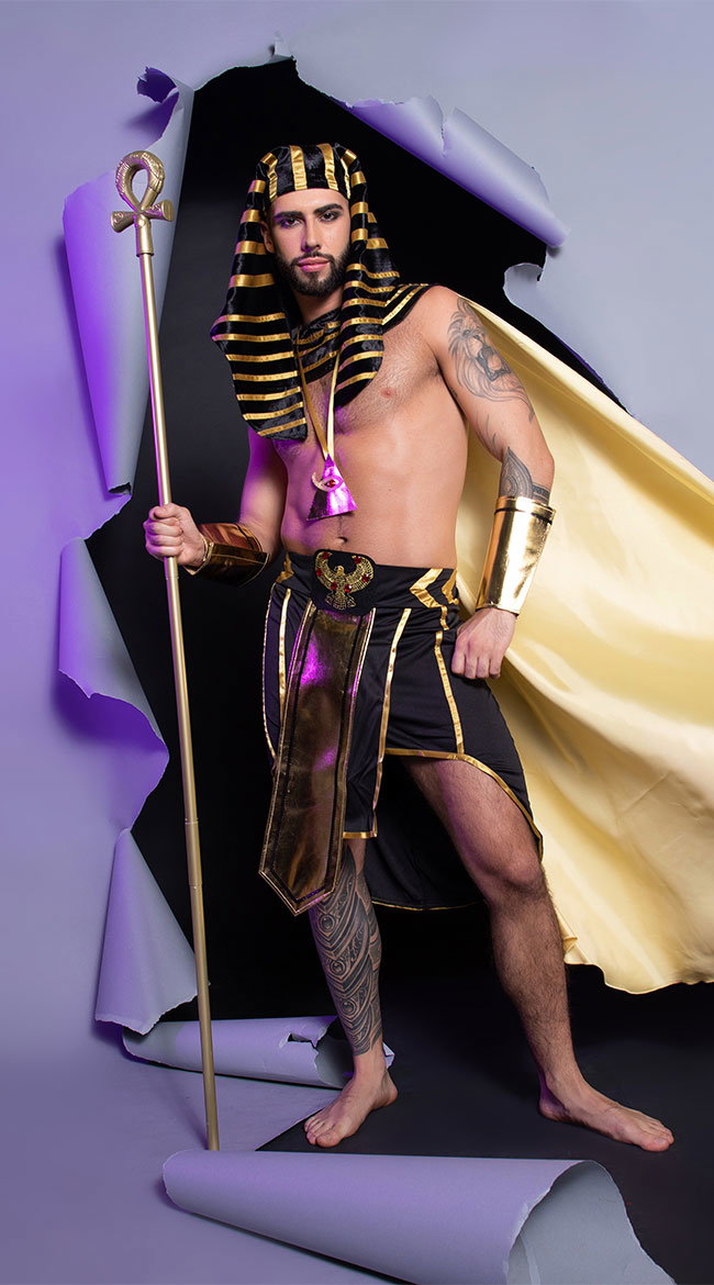 King Of Egypt Costume - Image 9
