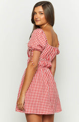 I'M Yours Red Gingham Mini Dress