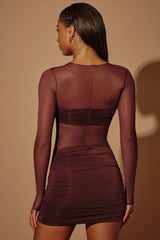 Sheer Panelled Long Sleeve Mini Dress In Brown