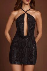 Embellished Halterneck Cowl A-Line Mini Dress In Black